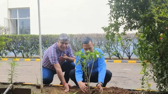 Tree Plantation Nagata 3 11 11zon 11 11zon